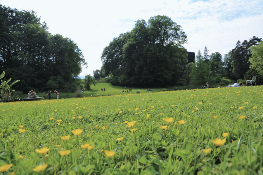 Botanischer Garten Zürich Kreis 8