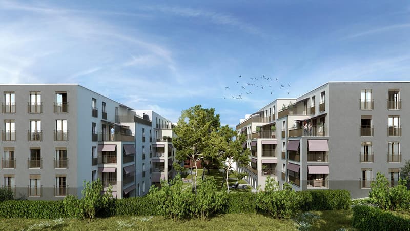freie wohnung im kreis 8