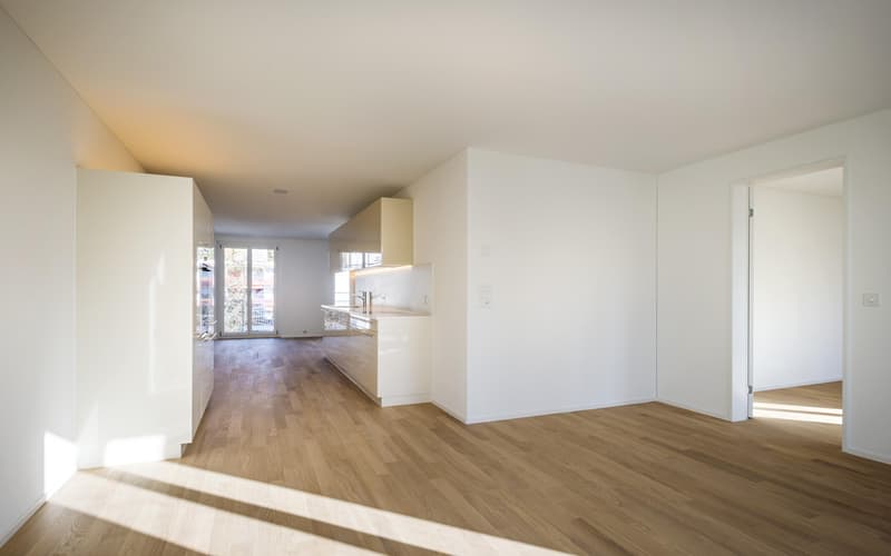 freie wohnung im kreis 8