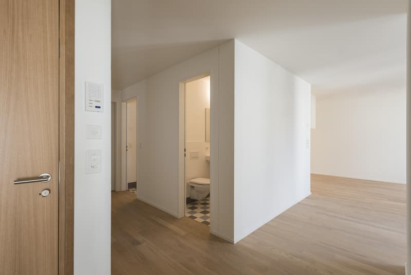 freie wohnung im kreis 8
