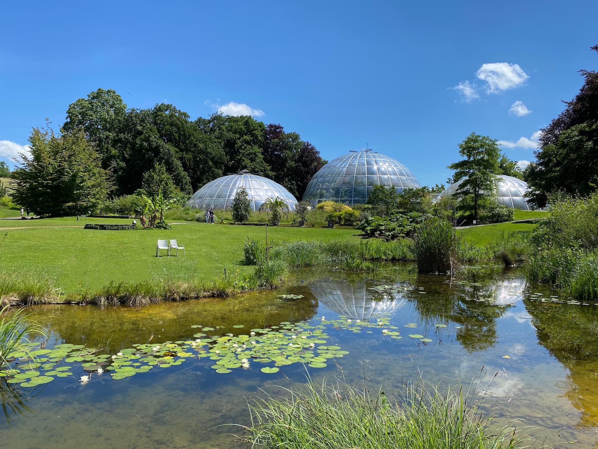 Botanischer Garten Zürich Kreis 8