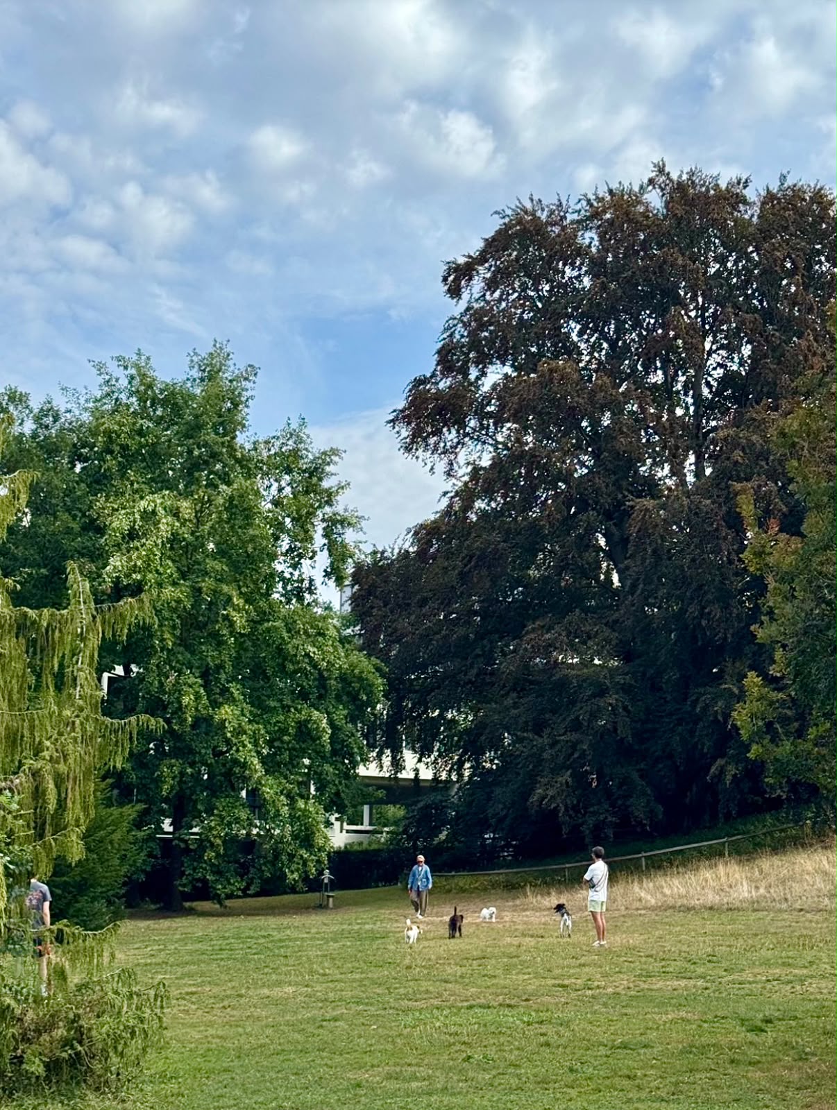 Seeburgpark Kreis 8 Zürich