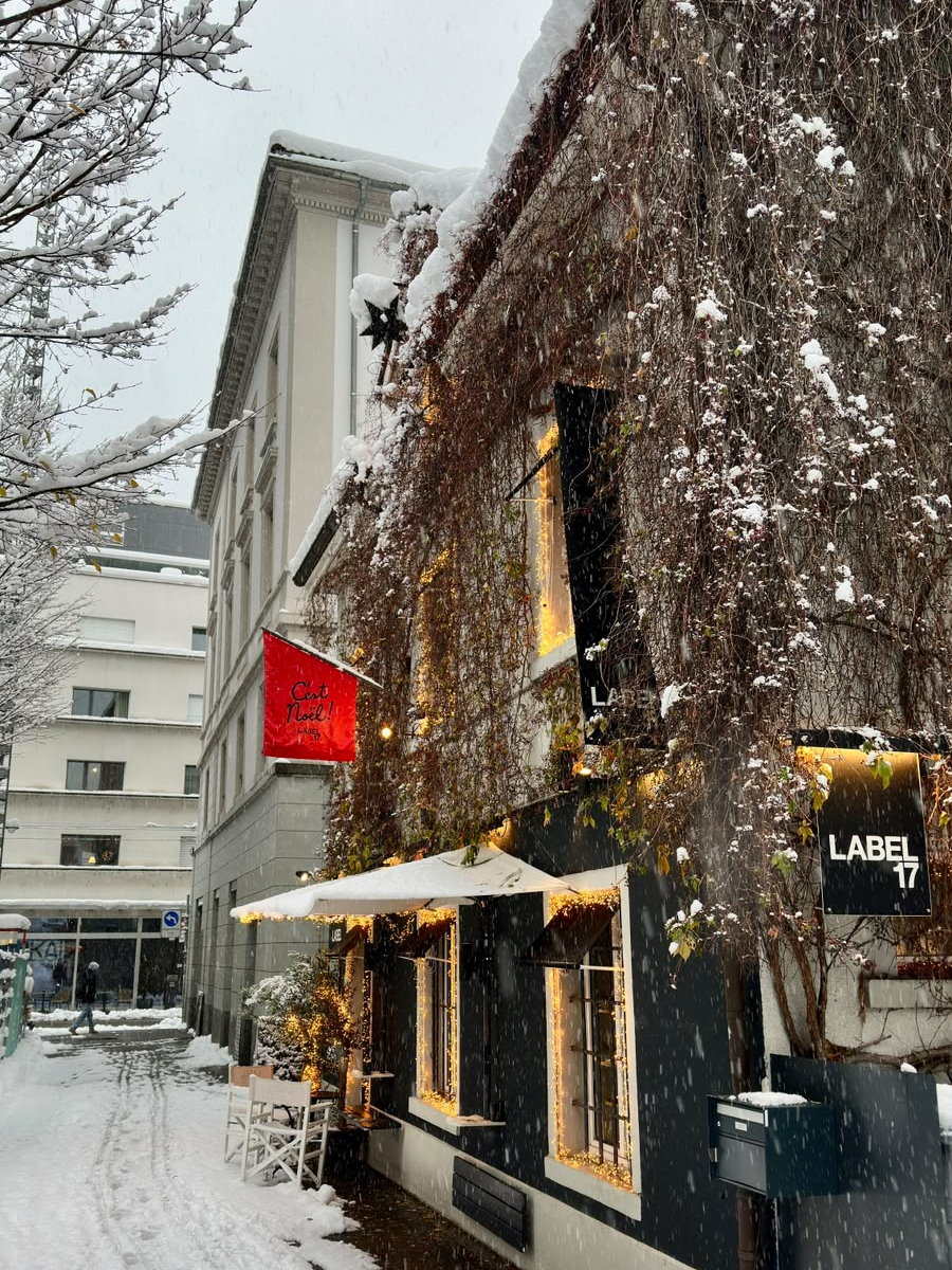 Hugo Schildknecht, Seefeld im Schnee