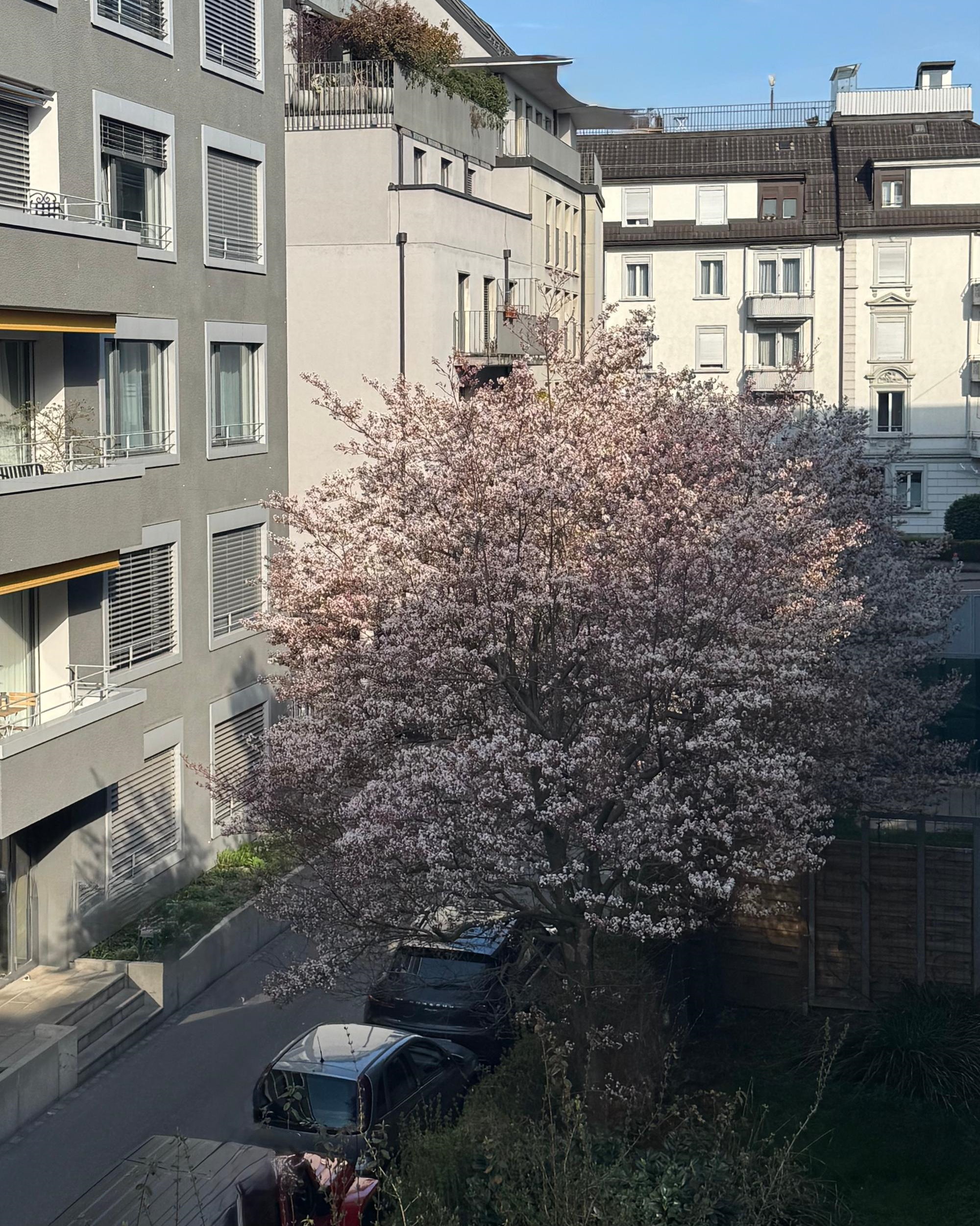 freie Wohnung im Seefeld